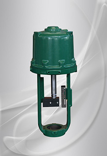 �c���´��ڴ��_��D